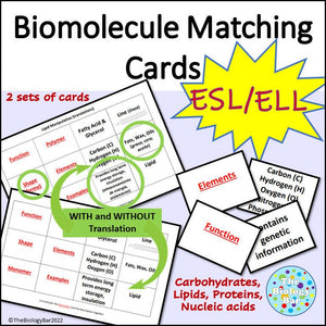 Biology Biomolecules Card Match