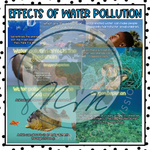 Effects of Water Pollution