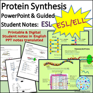 Biology Protein Synthesis PowerPoint and Student Notes