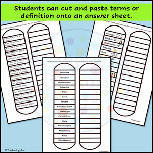 Genetics Vocabulary Matching Cards