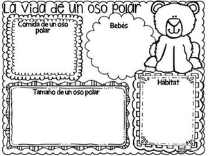 Polar Bears Non Fiction Unit Osos polares