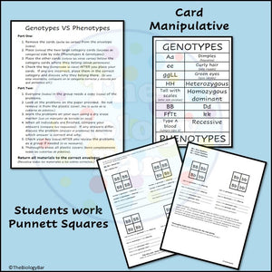 Genetics Station Review