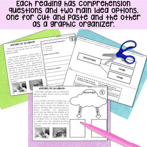 Reading comprehension readings in Spanish/Comprension de lecturas