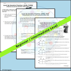 Genetics Level Up Worksheets