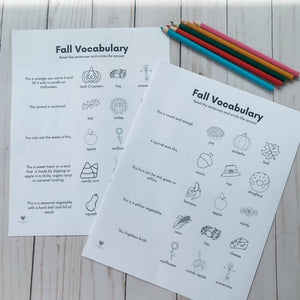 Fall Identifying Objects by Function Worksheets