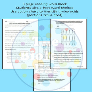 Biology Protein Synthesis Worksheet Set