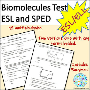 Biology Biomolecules and Enzymes Test