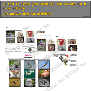 Las aves in Google Slides™