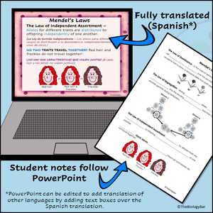 Genetics PowerPoint Notes