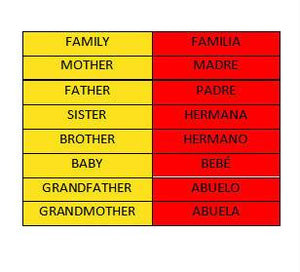 FAMILY FLASH CARDS - LA FAMILIA - Family vocabulary