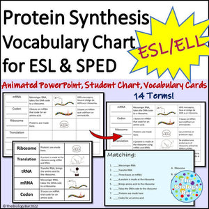 Biology Protein Synthesis Vocabulary Notes
