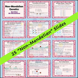 Genetics PowerPoint Notes