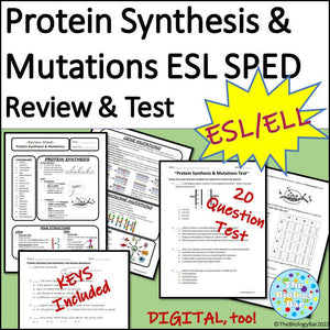 Biology Protein Synthesis and Mutations Review and Test