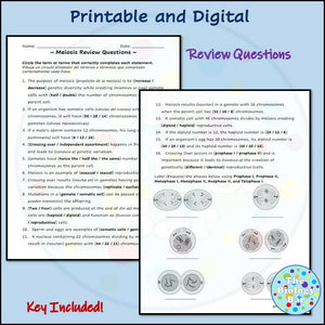 Biology Meiosis Review and Assessment