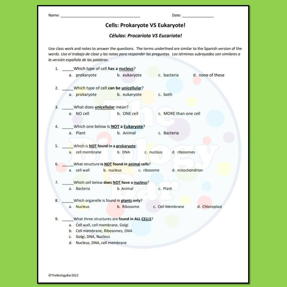 Biology Cell Structure Prokaryote Vs Eukaryote Worksheet Bilingual Biology cell structure prokaryote vs eukaryote worksheet bilingual