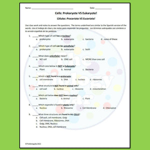 Biology Cell Structure Prokaryote Vs Eukaryote Worksheet