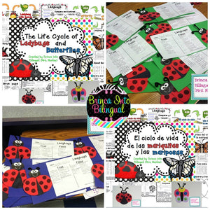 Life Cycle Unit - Ladybug and Butterfly Grades 1-3