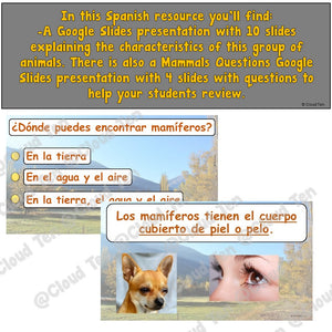 Los mamiferos in Google Slides™