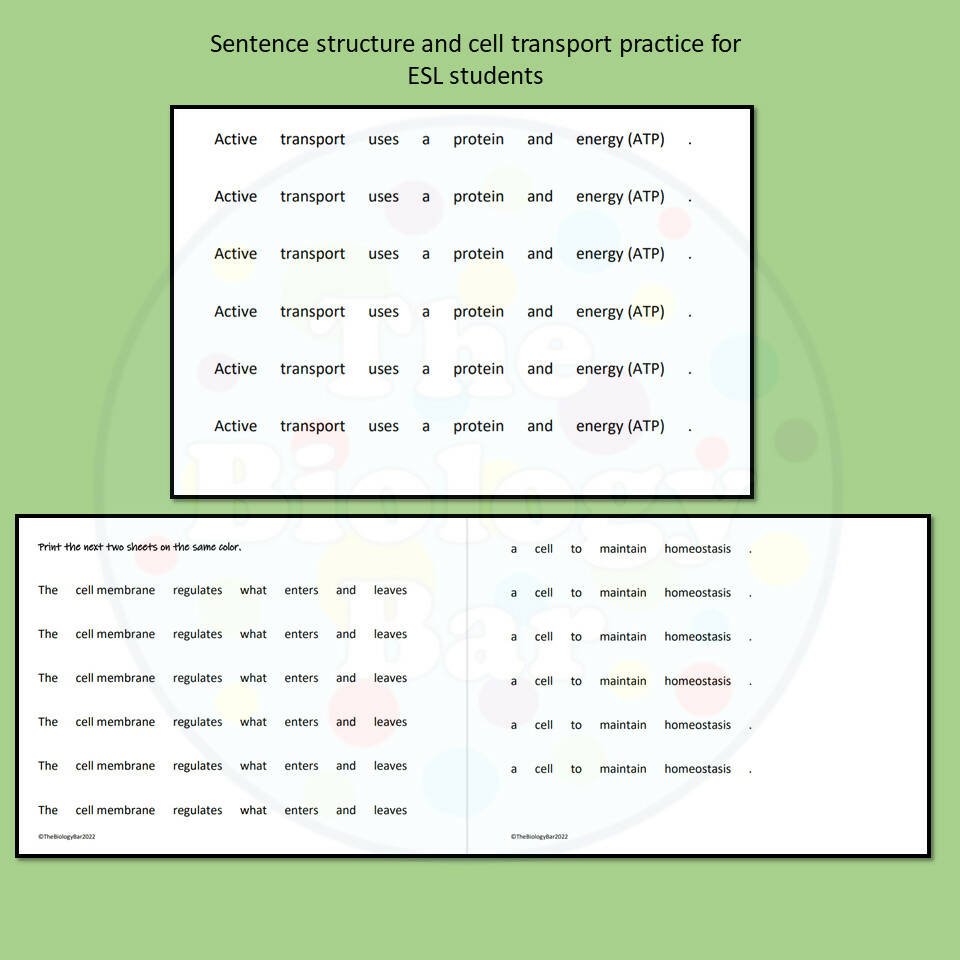 Cell Example Sentence Biology Cell Transport Sentence Creation – Bilingual Marketplace