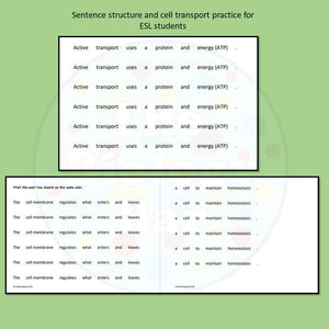 Biology Cell Transport Sentence Creation