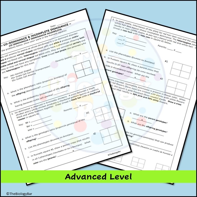 Incomplete Dominance Worksheet.pdf Incomplete Dominance Punnett Square Worksheet Codominance Worksheet