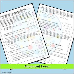 Genetics Incomplete Dominance Codominance Punnett Square Problems