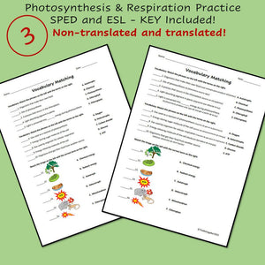 Biology Cell Energy Worksheet Set of 3