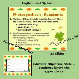 Biology Cell Energy PowerPoint Notes and Student Guided Notes