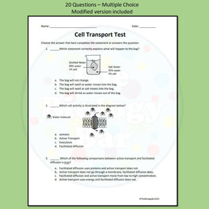 Biology Cell Transport Review and Test