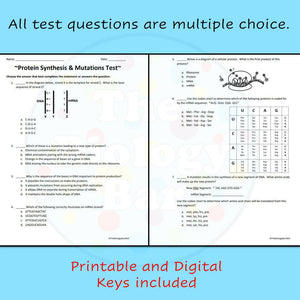 Biology Protein Synthesis and Mutations Review and Test